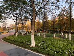 -映月湖公园