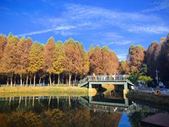 -捞渔河湿地公园