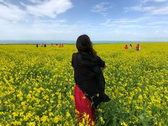 -青海湖国家重点风景名胜区