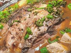 鲜青椒爽麻烤鱼-探鱼·鲜青椒爽麻烤鱼(苏宁广场店)