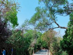 -梧桐山风景名胜区