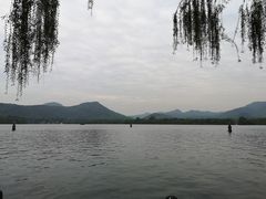 -西湖外事游船(花港观鱼码头)