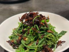 -湖鱼湖·蓉亭食贝(亚运村店)