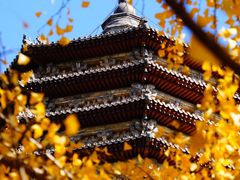 -玲珑塔公园