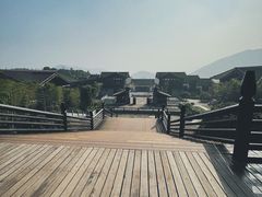 -大唐贡茶院