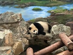 -杭州少年儿童公园