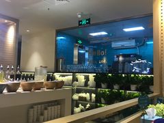 -青瓷火锅料理(西单大悦城店)