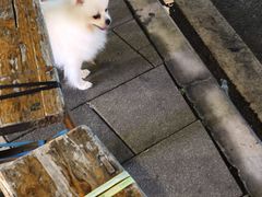 -成都市活水公园
