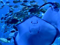 -太平洋海底世界