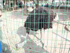 -武汉紫薇都市田园