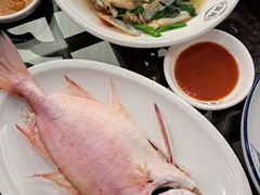 -吴记富苑(朝阳店)