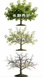 -雅曼妮spa美容养生