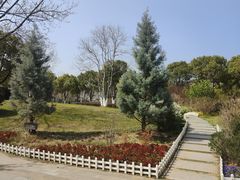 -羊山湖公园
