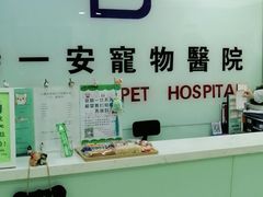 -特一安24小时宠物医院·骨科·中兽医