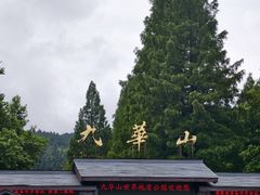-九华山风景区