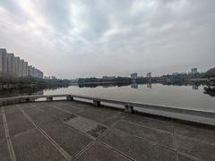 -成都南湖公园