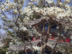 -西安市广仁寺