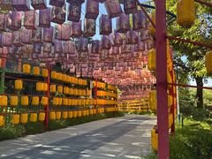 -青龙湖公园
