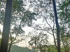 -小南山公园