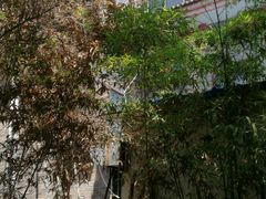 -陈熹公民族美食文化餐厅(中华广场店)