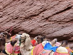 -天山神秘大峡谷