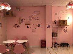 -三花喵·撸猫购宠·宠物生活馆(虹桥南丰城店)
