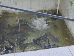 -珠海叠泉山庄