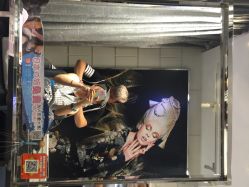 京世造型美容(虹桥店)-京世沙龙