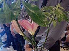 -润生源足道·SPA(个园店)