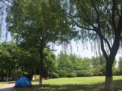 -上海大学宝山-图书馆