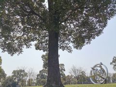 -上海月湖雕塑公园