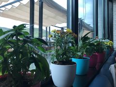 -玫瑰西餐厅.意面披萨.牛排咖啡