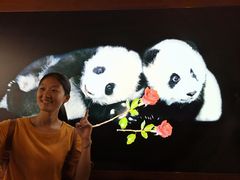 门面-成都大熊猫繁育研究基地