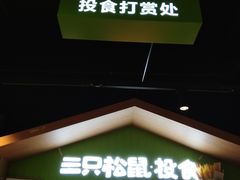 门面-三只松鼠(北美N1店)