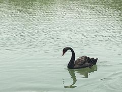 -上海怡沁园度假酒店
