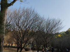 -中山市树木园