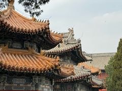 -北京艺术博物馆(万寿寺)