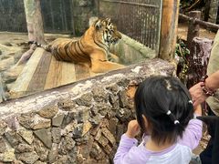-海南热带野生动植物园