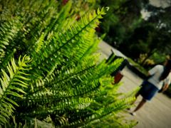 -铁山坪森林公园