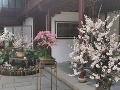-豫园