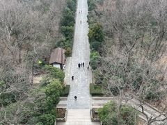 -灵谷景区