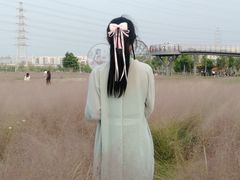 -王借岗森林公园