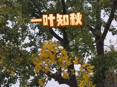 -大连人民广场