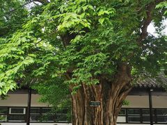 -苏州碑刻博物馆