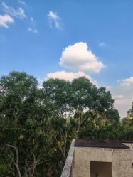 -爱丽馨御景月子中心