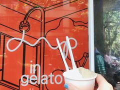-Dip in Gelato(富民路店)