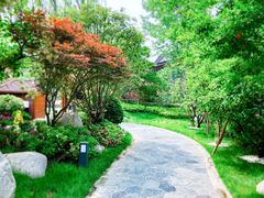 -思念果岭悦温泉