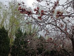 -东升八家郊野公园