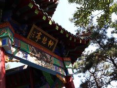 -沂蒙山旅游区云蒙景区(蒙山国家森林公园)
