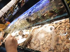 -苏格里岛自助烤肉海鲜火锅(成都金牛万达店)